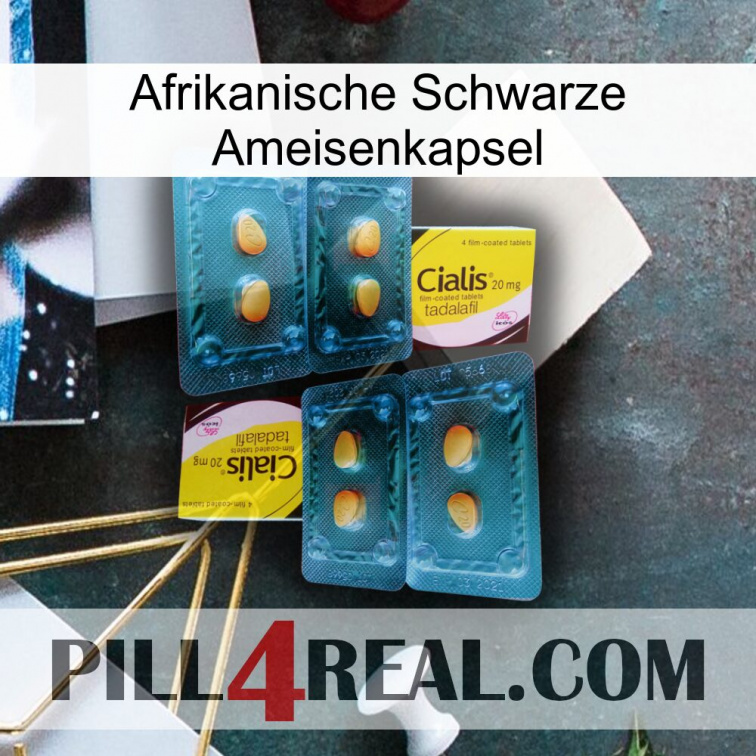 Africa Black Ant Capsule cialis5